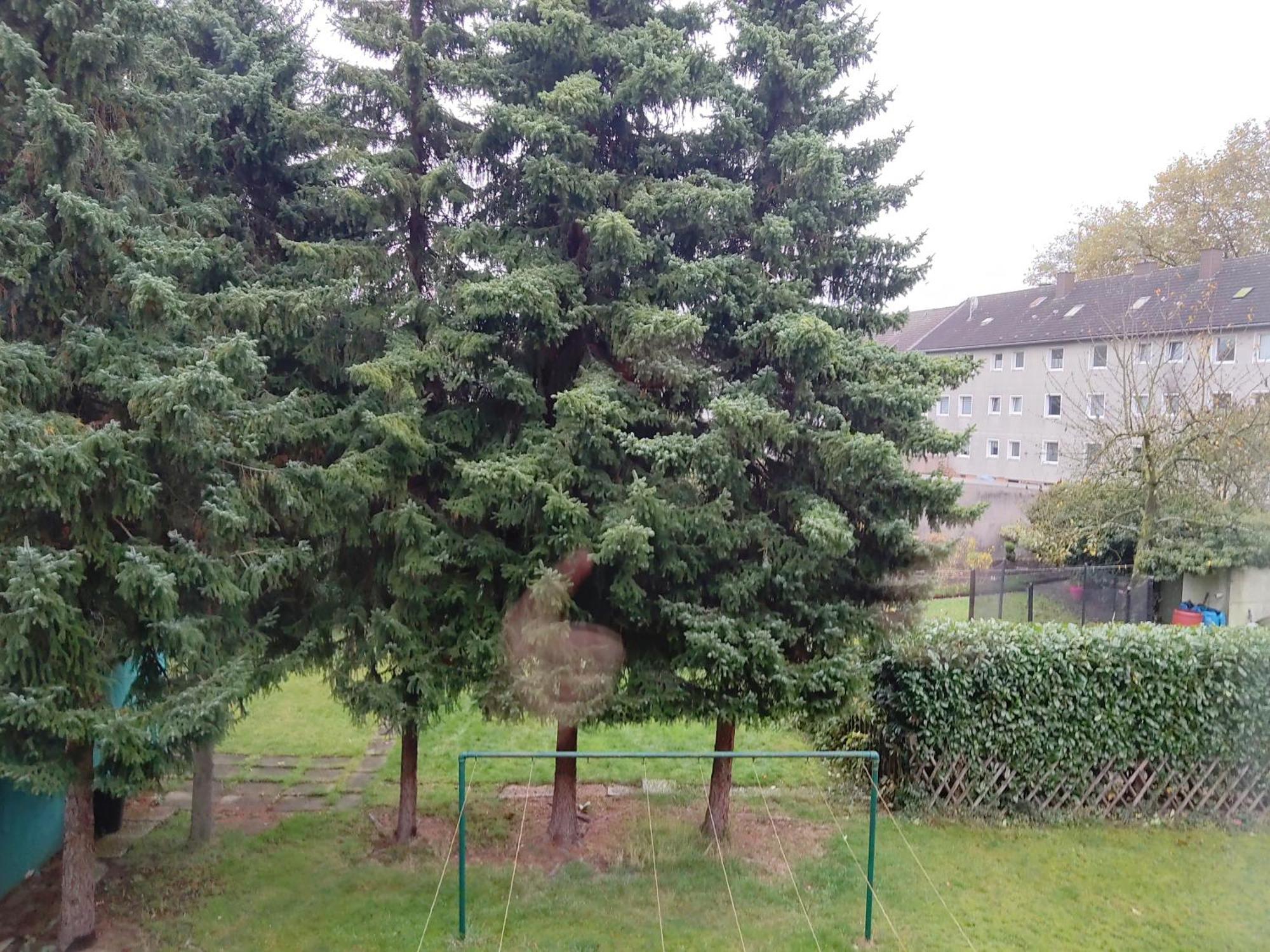 Komfortables Und Ruhiges Apartment Gelsenkirchen Bagian luar foto